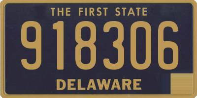 DE license plate 918306