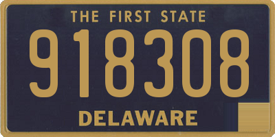 DE license plate 918308