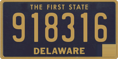 DE license plate 918316