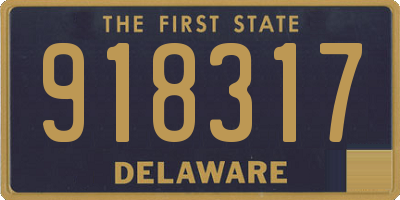 DE license plate 918317