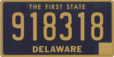 DE license plate 918318