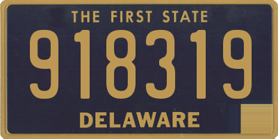 DE license plate 918319