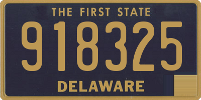DE license plate 918325