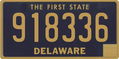 DE license plate 918336