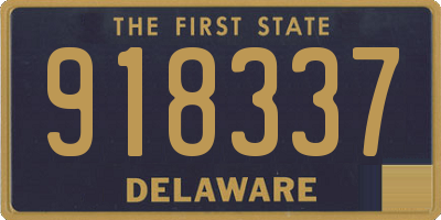 DE license plate 918337
