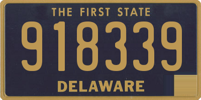 DE license plate 918339
