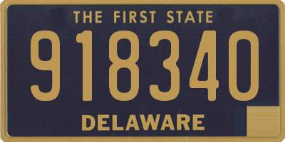 DE license plate 918340