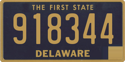 DE license plate 918344