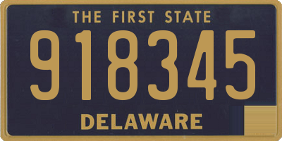 DE license plate 918345