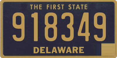 DE license plate 918349