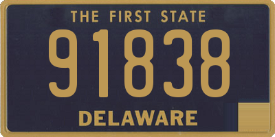 DE license plate 91838