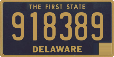 DE license plate 918389