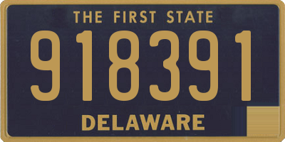 DE license plate 918391