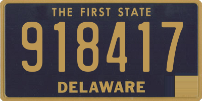DE license plate 918417