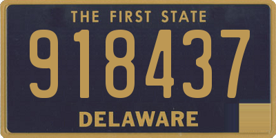 DE license plate 918437