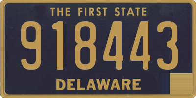 DE license plate 918443