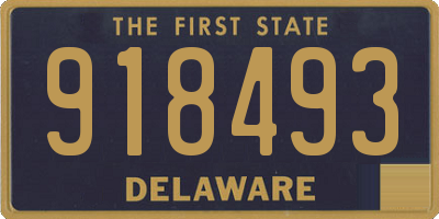 DE license plate 918493