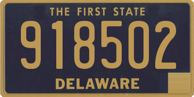 DE license plate 918502