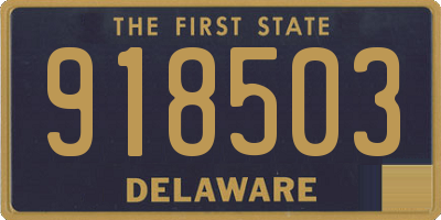 DE license plate 918503