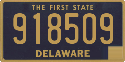 DE license plate 918509
