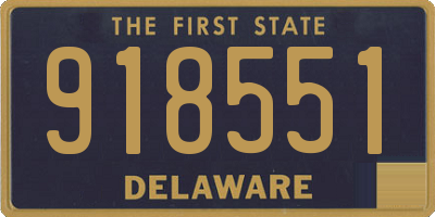 DE license plate 918551