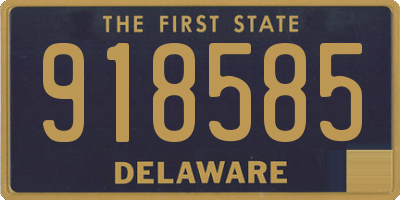 DE license plate 918585