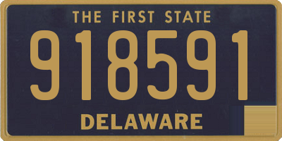 DE license plate 918591