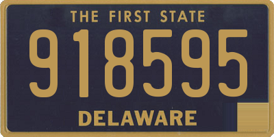 DE license plate 918595