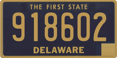 DE license plate 918602