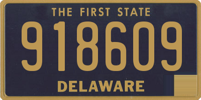 DE license plate 918609
