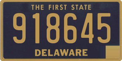 DE license plate 918645