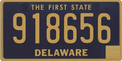DE license plate 918656