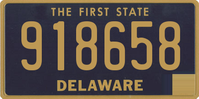 DE license plate 918658