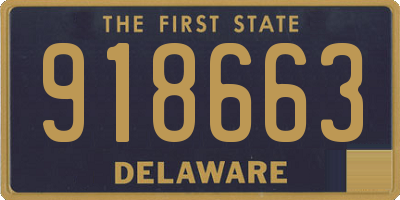 DE license plate 918663