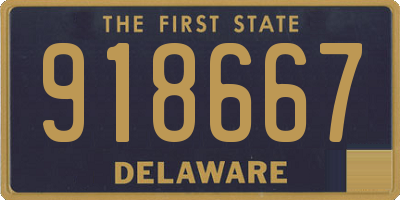 DE license plate 918667