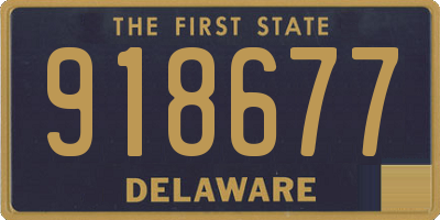 DE license plate 918677