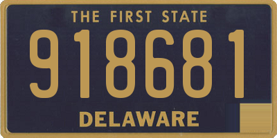 DE license plate 918681