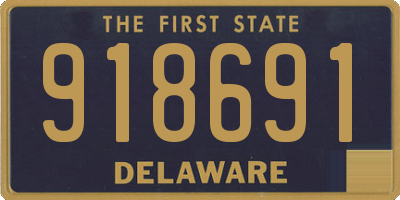 DE license plate 918691