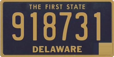 DE license plate 918731