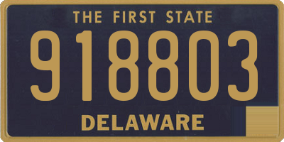 DE license plate 918803
