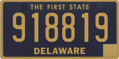 DE license plate 918819