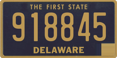 DE license plate 918845