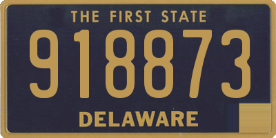 DE license plate 918873