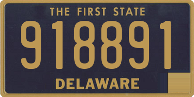 DE license plate 918891
