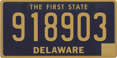 DE license plate 918903