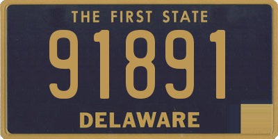 DE license plate 91891