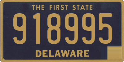 DE license plate 918995