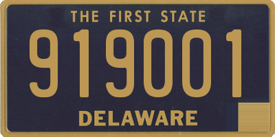 DE license plate 919001