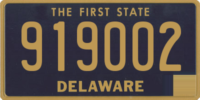 DE license plate 919002