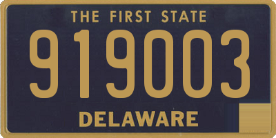 DE license plate 919003